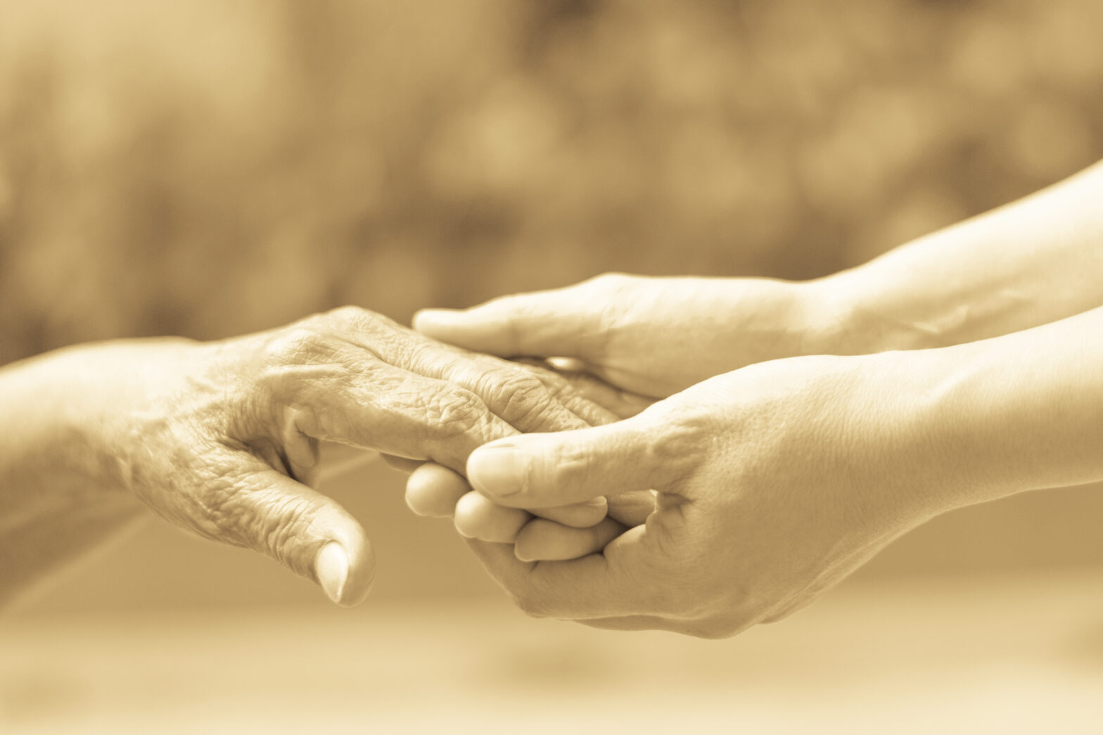 Seven Years Strong: A Leap of Faith and the Journey of Healthwhiz Solutions